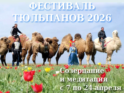 Nam Nga, Cộng hòa Kalmykia