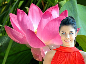 Lễ hội Hoa sen tại Nga